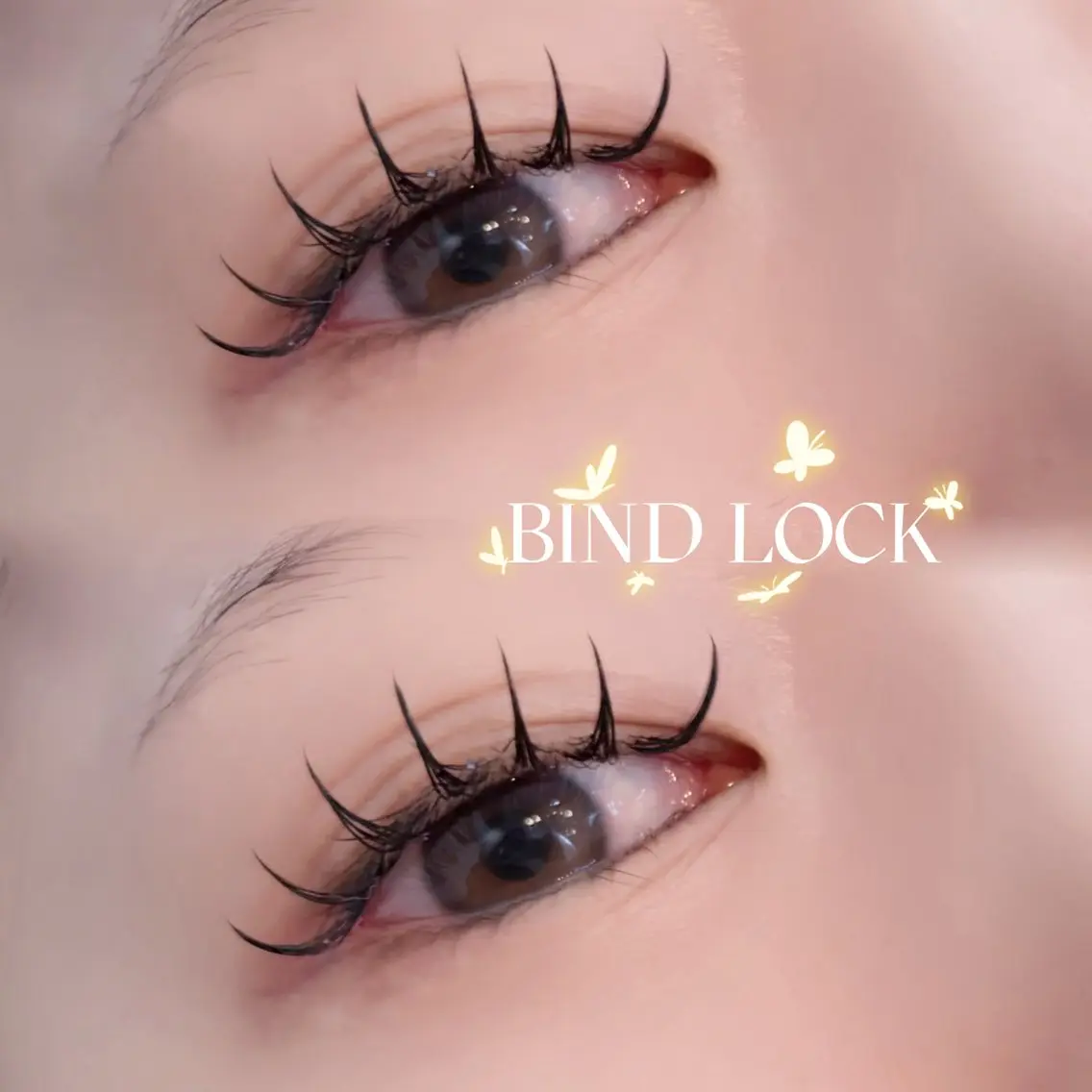 【オフなし】⭐️バインドロック60束まで⭐️の写真