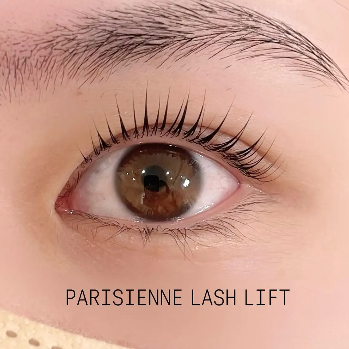 マツエク・マツパ マツパ eyelashZen ♥️HIMEのマツエク・マツパデザイン