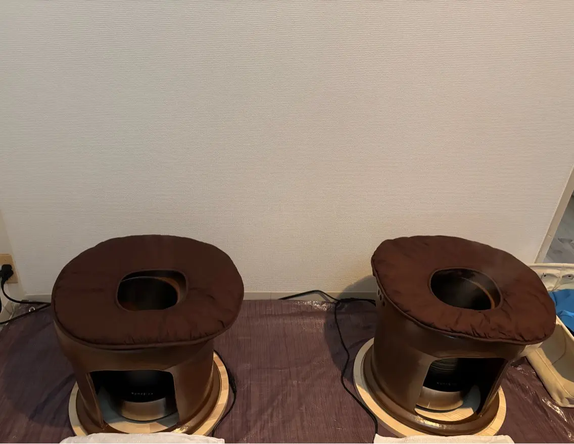 今大注目！よもぎ蒸しの写真