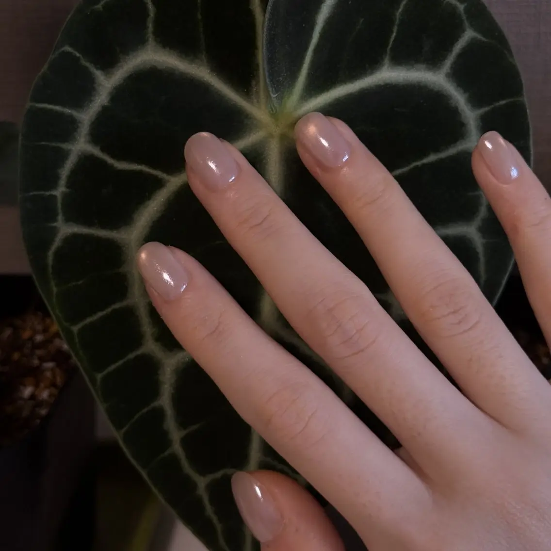 ネイル ハンドネイル ハンドケア PIPPY  NAILS新宿のネイルデザイン