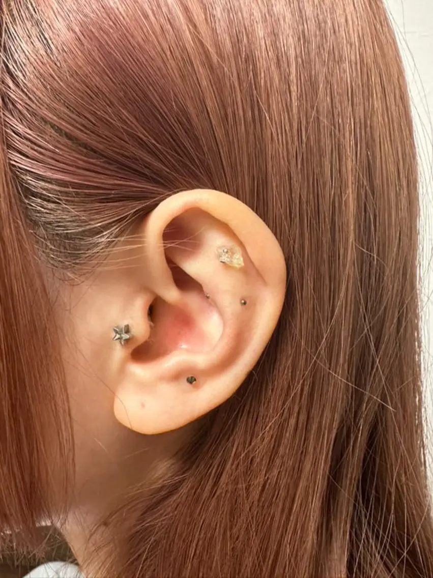 B.napus Nanohaのその他イメージ