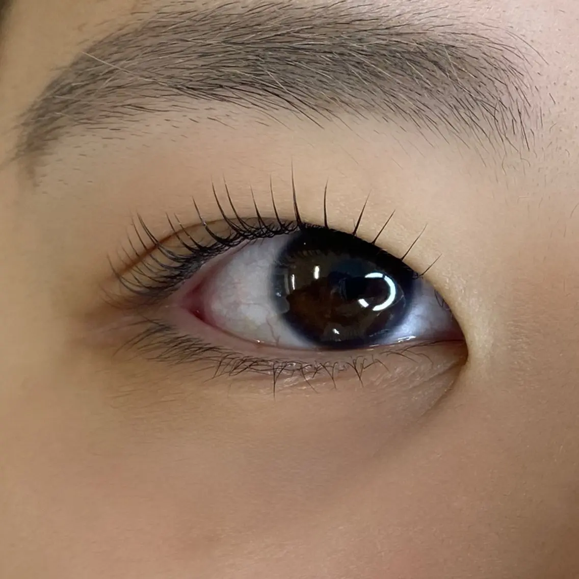 マツエク・マツパ まつげパーマ 一重×まつ毛パーマ マツパ U too e's MANAE🌼の眉毛・アイブロウイメージ