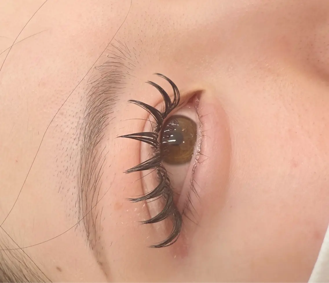 マツエク・マツパ 束感まつ毛 韓国風マツエク マツエク stunner eyelashのマツエク・マツパデザイン