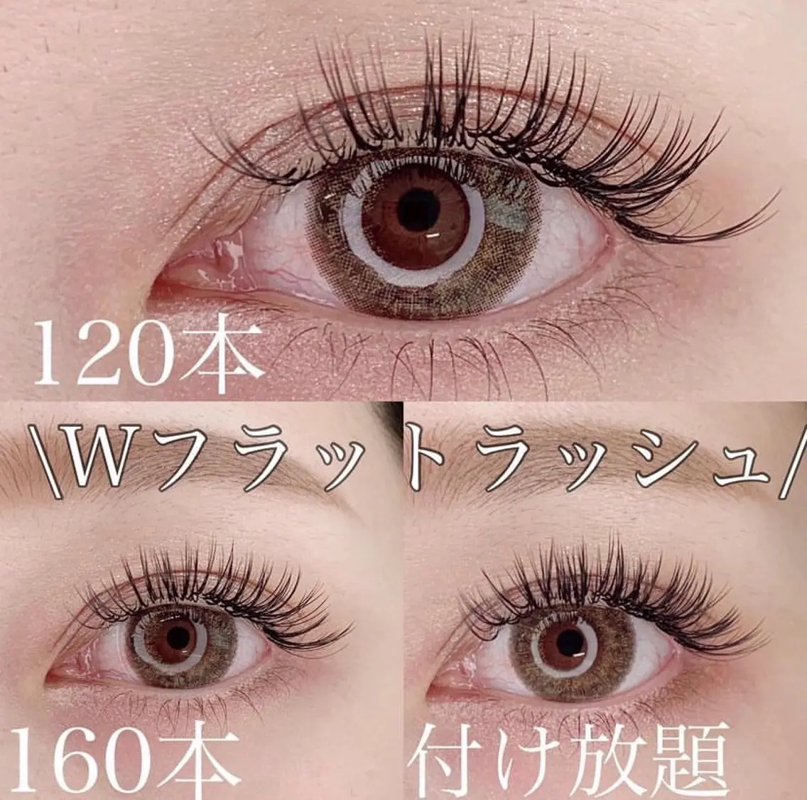 【当日限定‼️】Wフラットラッシュ120本（オフなし）の写真