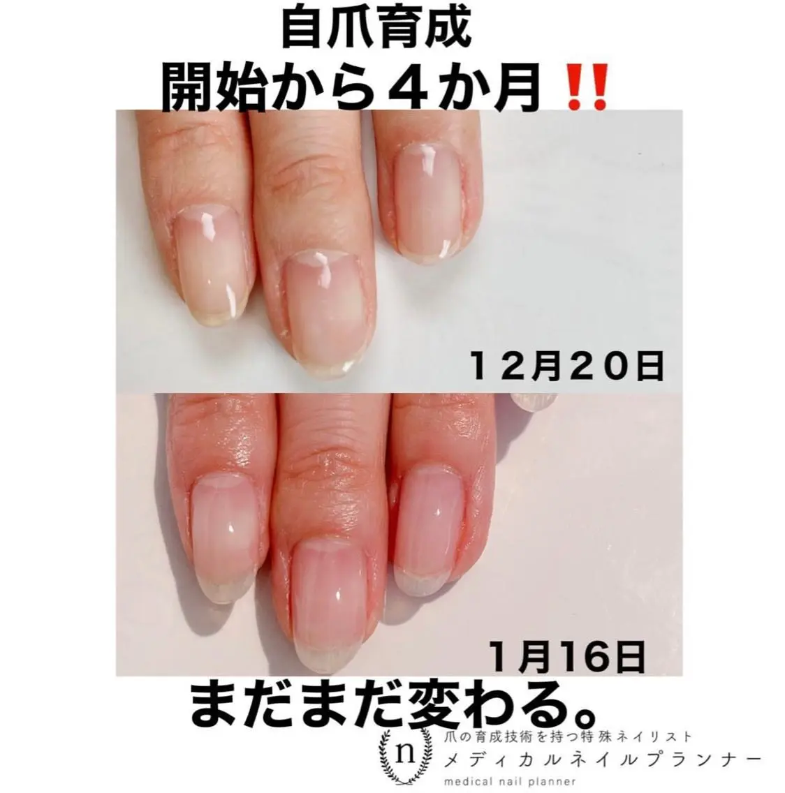 ネイル NAIL SALON ｔｏｇｇｙのネイルデザイン