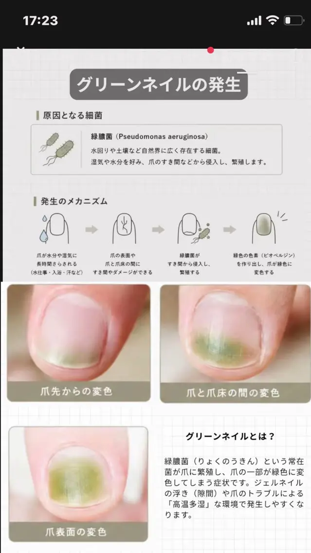 フルリール 【プライベートサロンのネイルデザイン