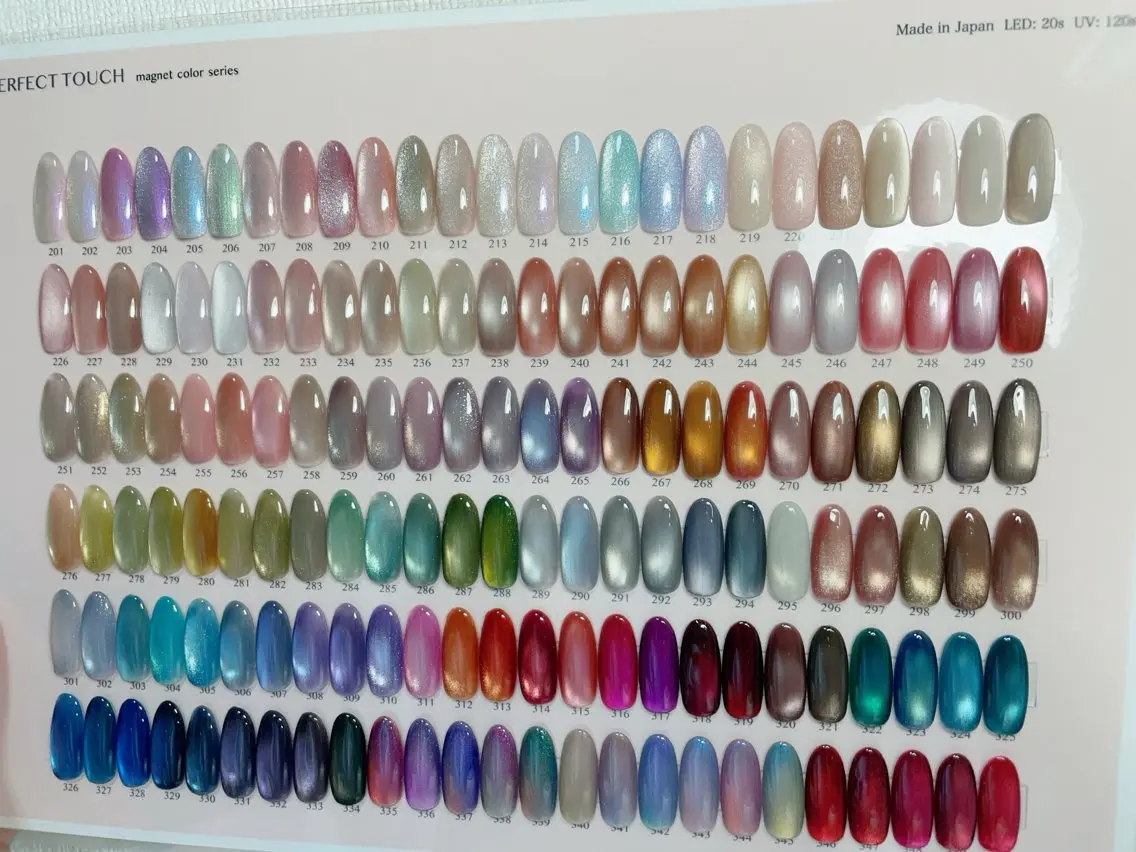 【研修コース】美フォルムマグネットネイル✨🧲の写真