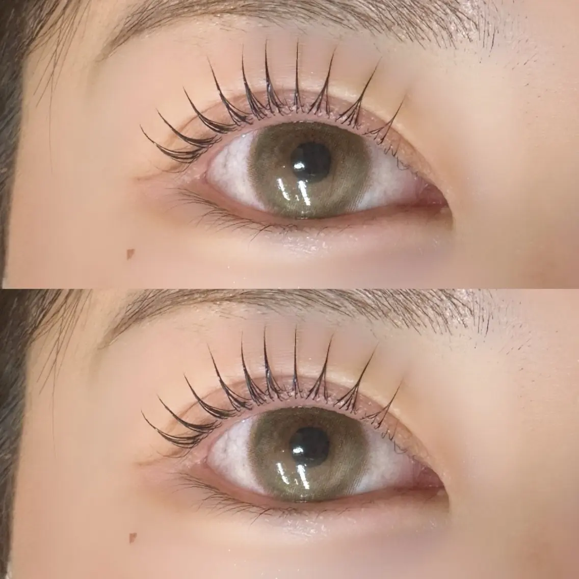 🎀バインド120束限定🎀の写真