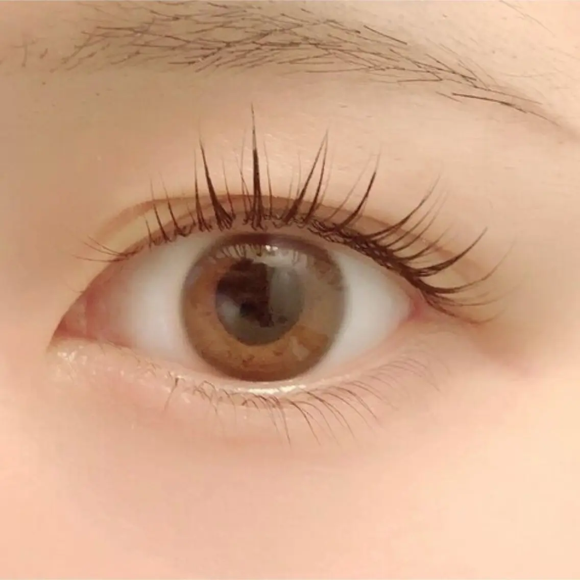 🎗️ご新規様限定🎗️似合わせラッシュリフト(まつ毛パーマ)👀✨コーティング仕上げ🩰の写真