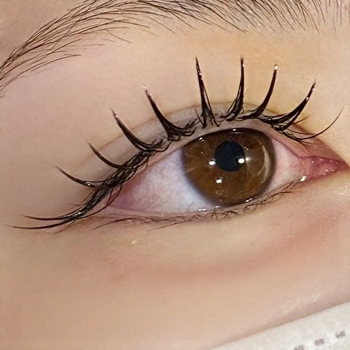 まつげエクステ100本 コーティング付き˚⋆𝜗𝜚の写真