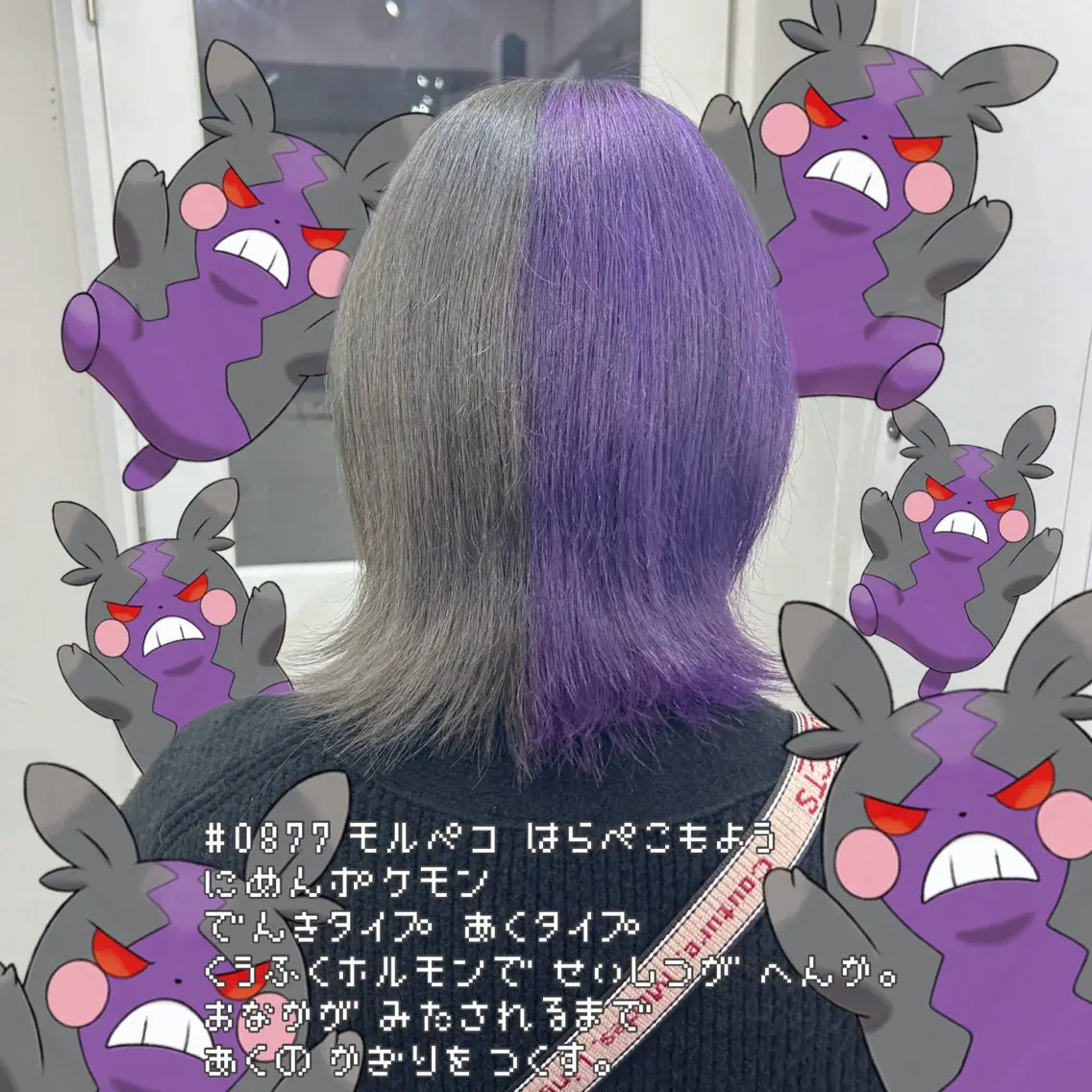 ショート カラー ヘアカラー トリートメント ハイトーン/ウルフ /小澤凌祐🦕のヘアスタイル