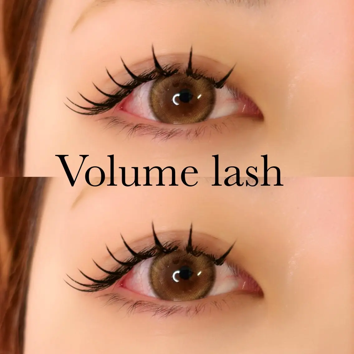 【Volume lash♥️】ボリュームラッシュ160束の写真