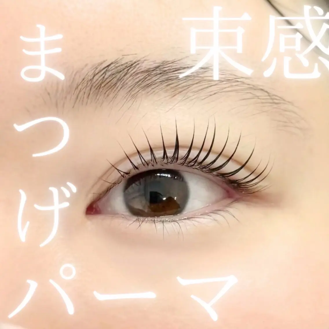 パーマ メイ🍀 LEDマツエクまつパのマツエク・マツパデザイン
