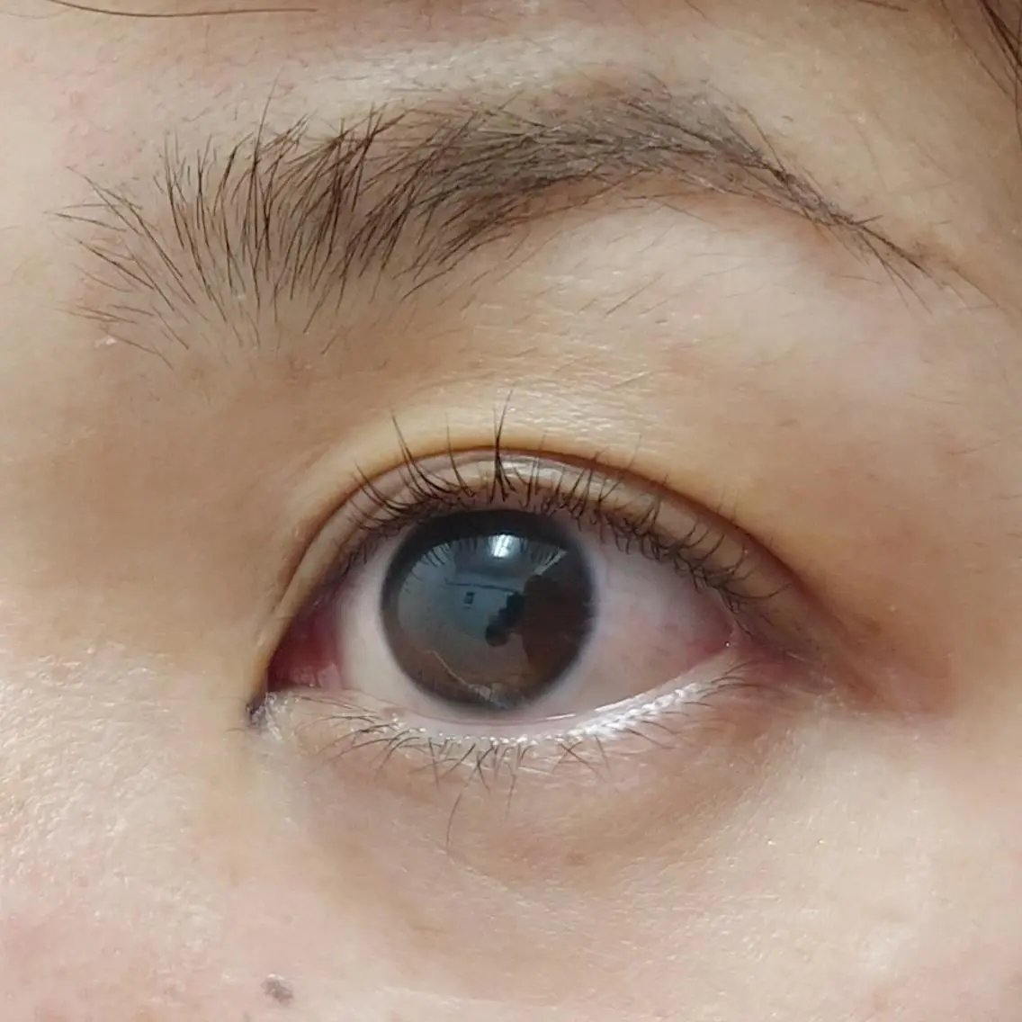 マツエク・マツパ パリジェンヌラッシュリフト eyelash MAGENDAのマツエク・マツパデザイン