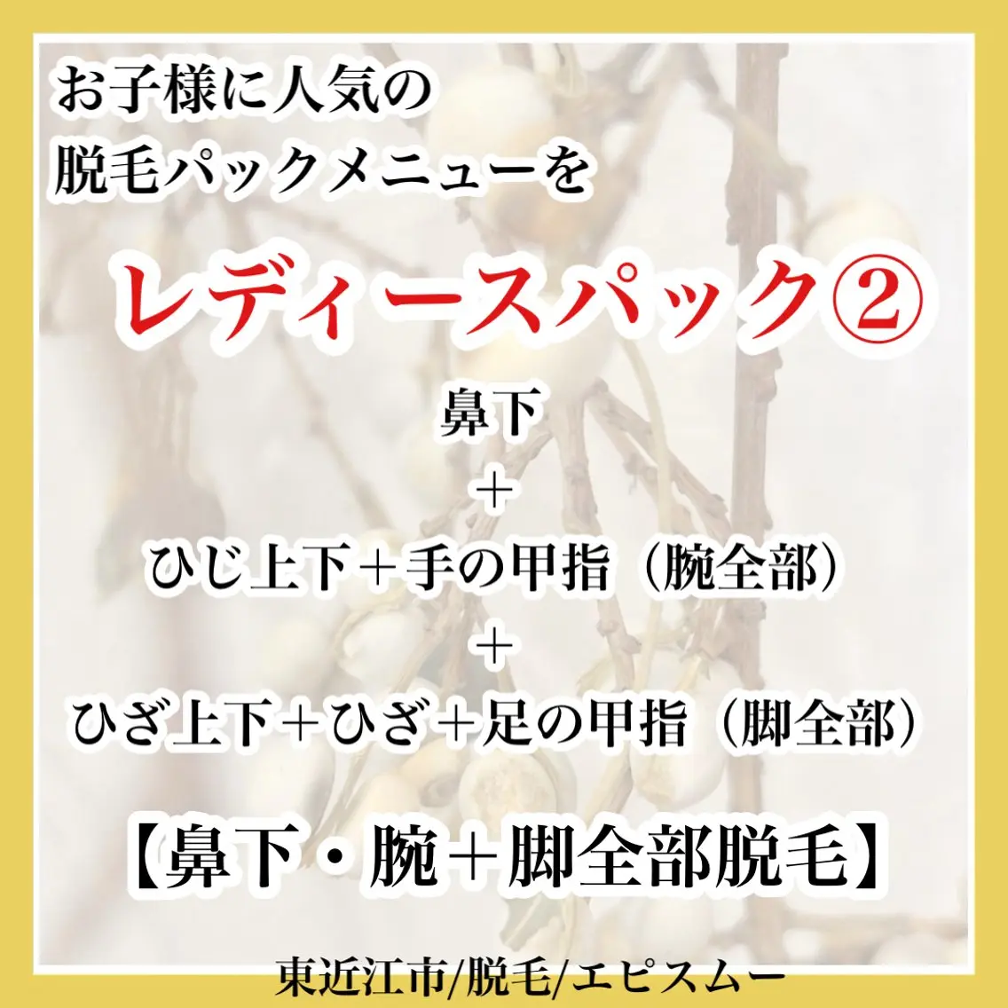 epismoo 脱毛/HBL/毛穴の眉毛・アイブロウイメージ