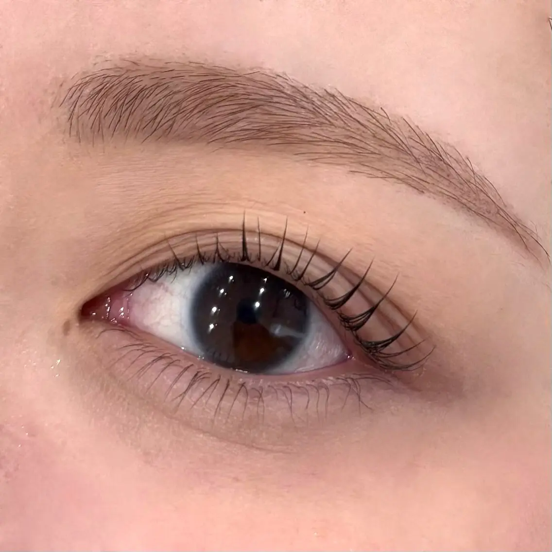 マツエク・マツパ 一重×まつ毛パーマ マツパ eyelash mimi🩶のマツエク・マツパデザイン