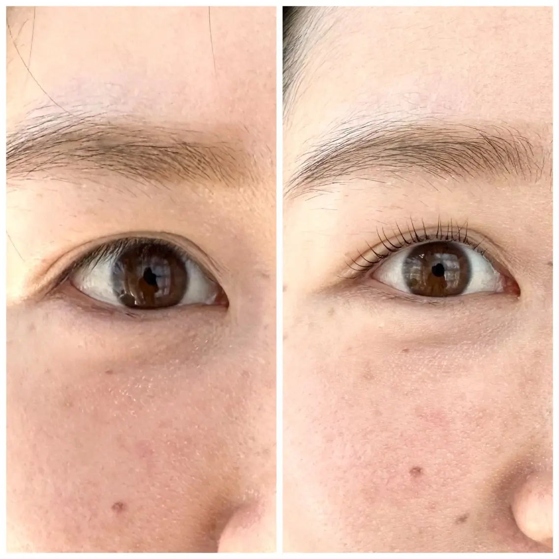 マツエク・マツパ 一重×まつ毛パーマ マツパ ORTENSIA 六本松のマツエク・マツパデザイン