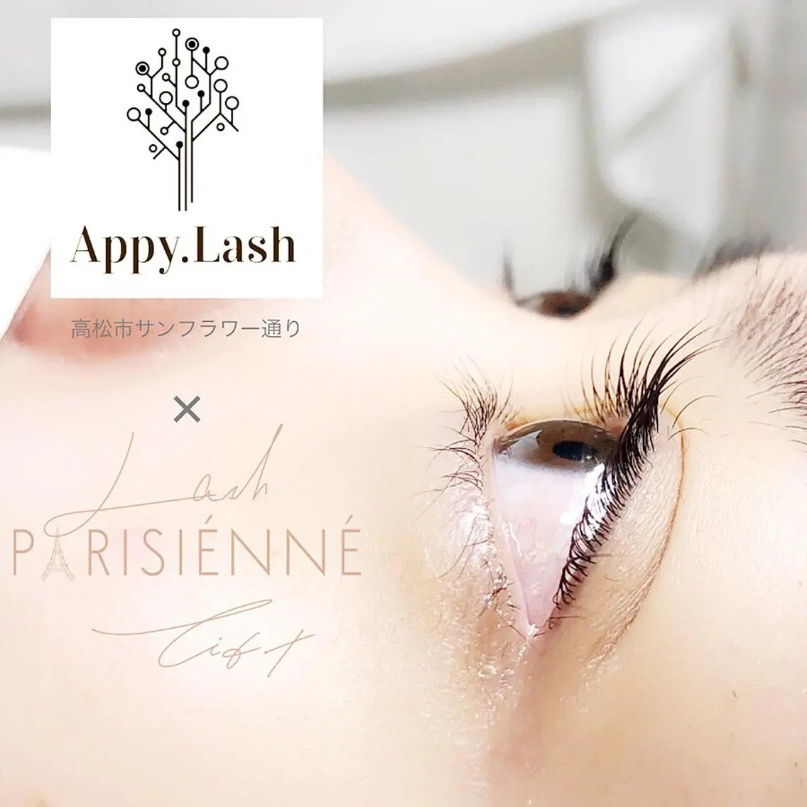 マツエク・マツパ フラットラッシュ パリジェンヌラッシュリフト ボリュームラッシュ まつげと眉の専門店 Appy.Lashのマツエク・マツパデザイン