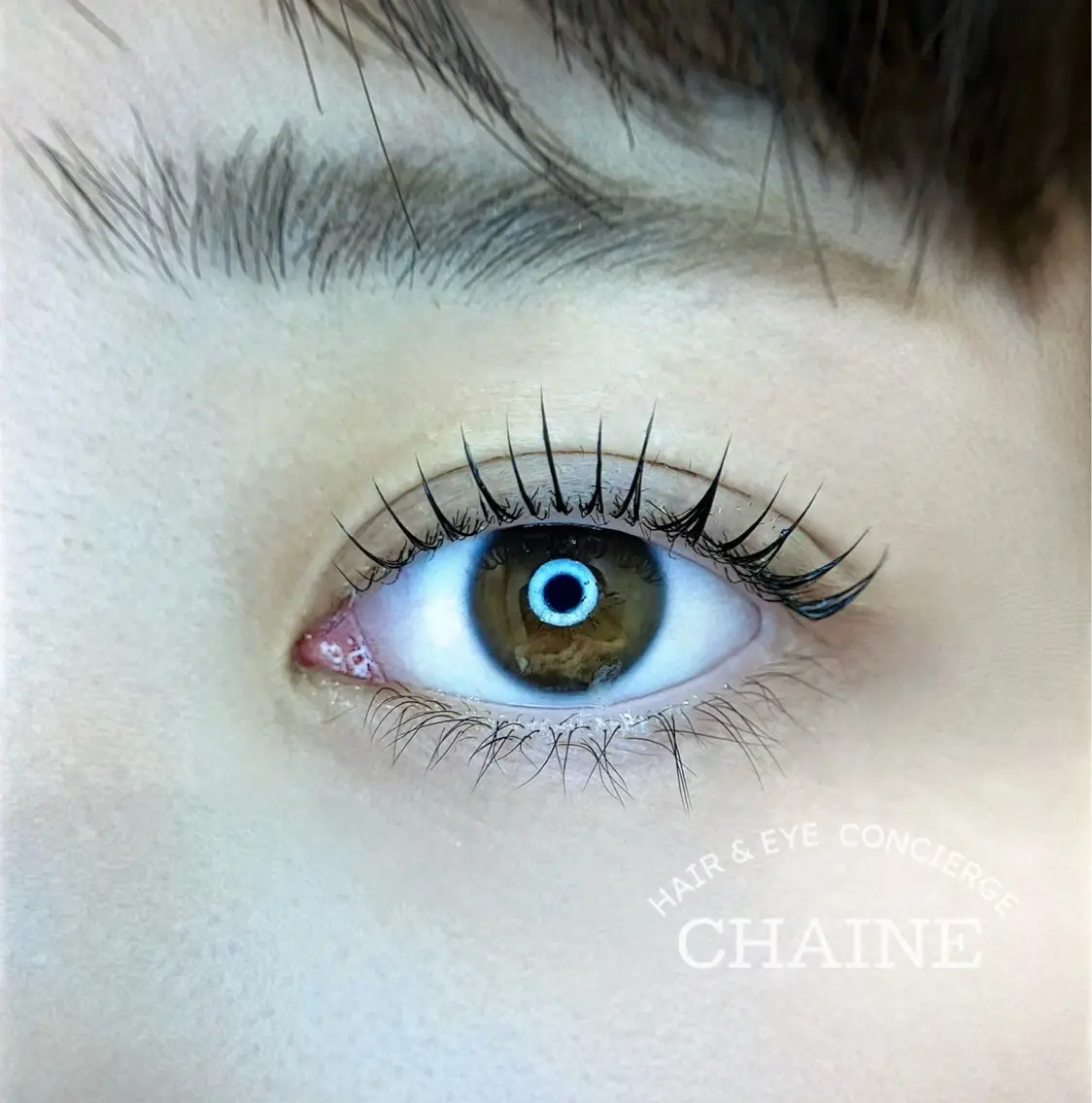 マツエク・マツパ マツパ CHAINE🫧 MIWAのマツエク・マツパデザイン