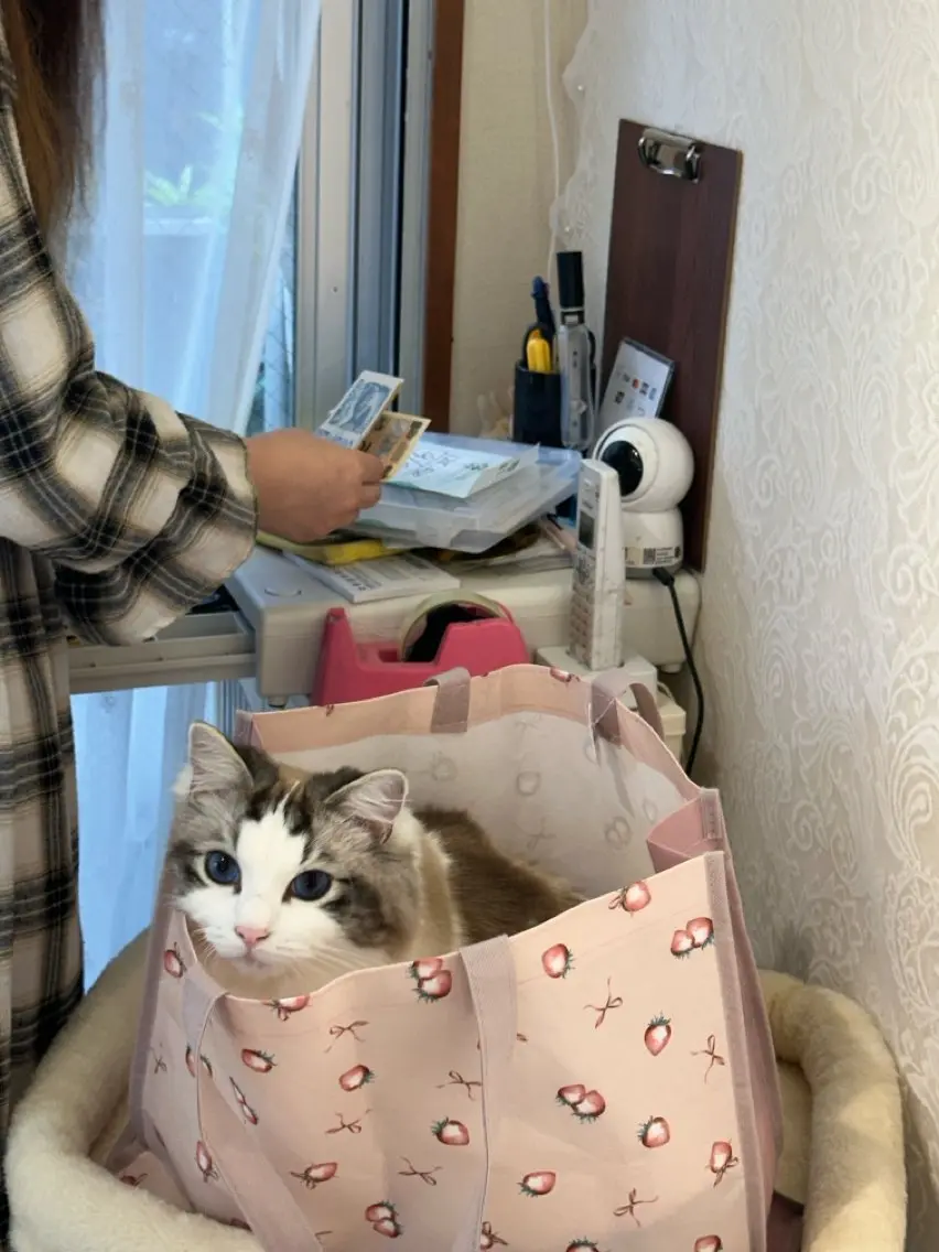 Sun Nail 池袋のネイルデザイン