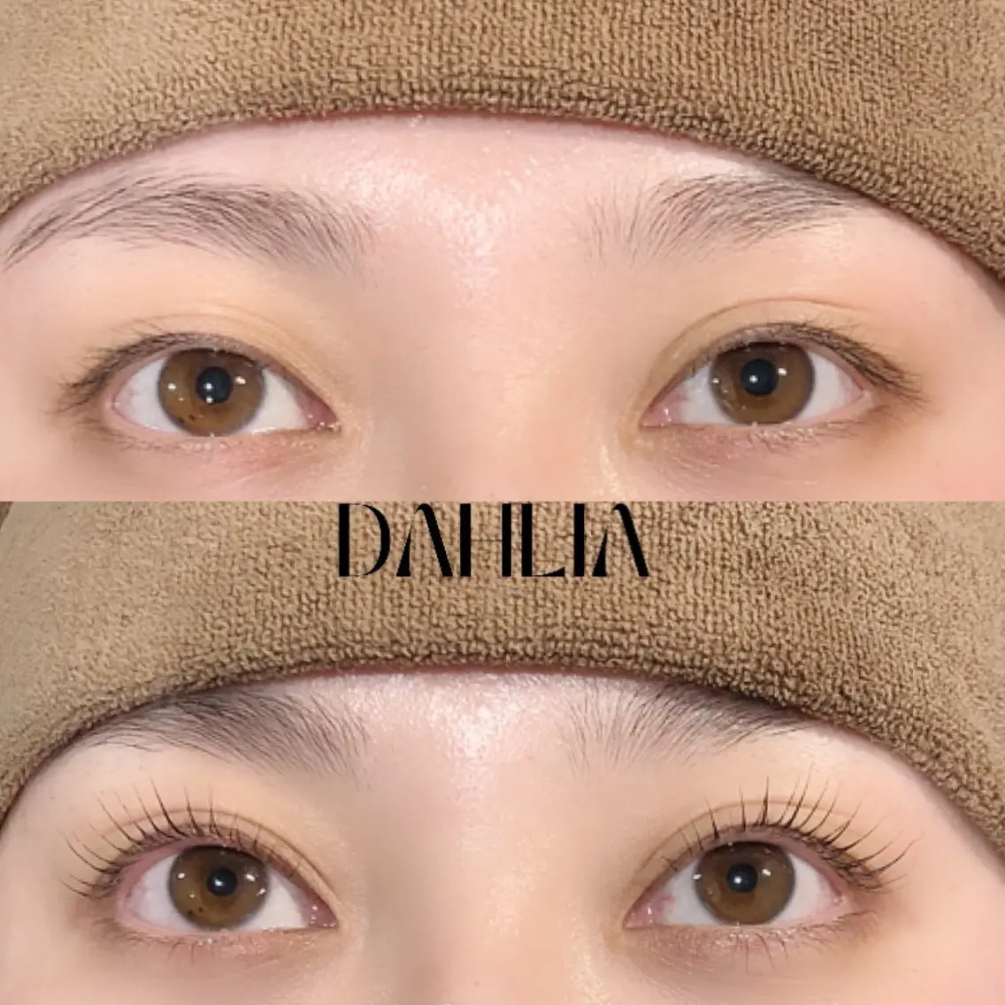 マツエク・マツパ まつげパーマ Dahliaダリア 斉藤のマツエク・マツパデザイン