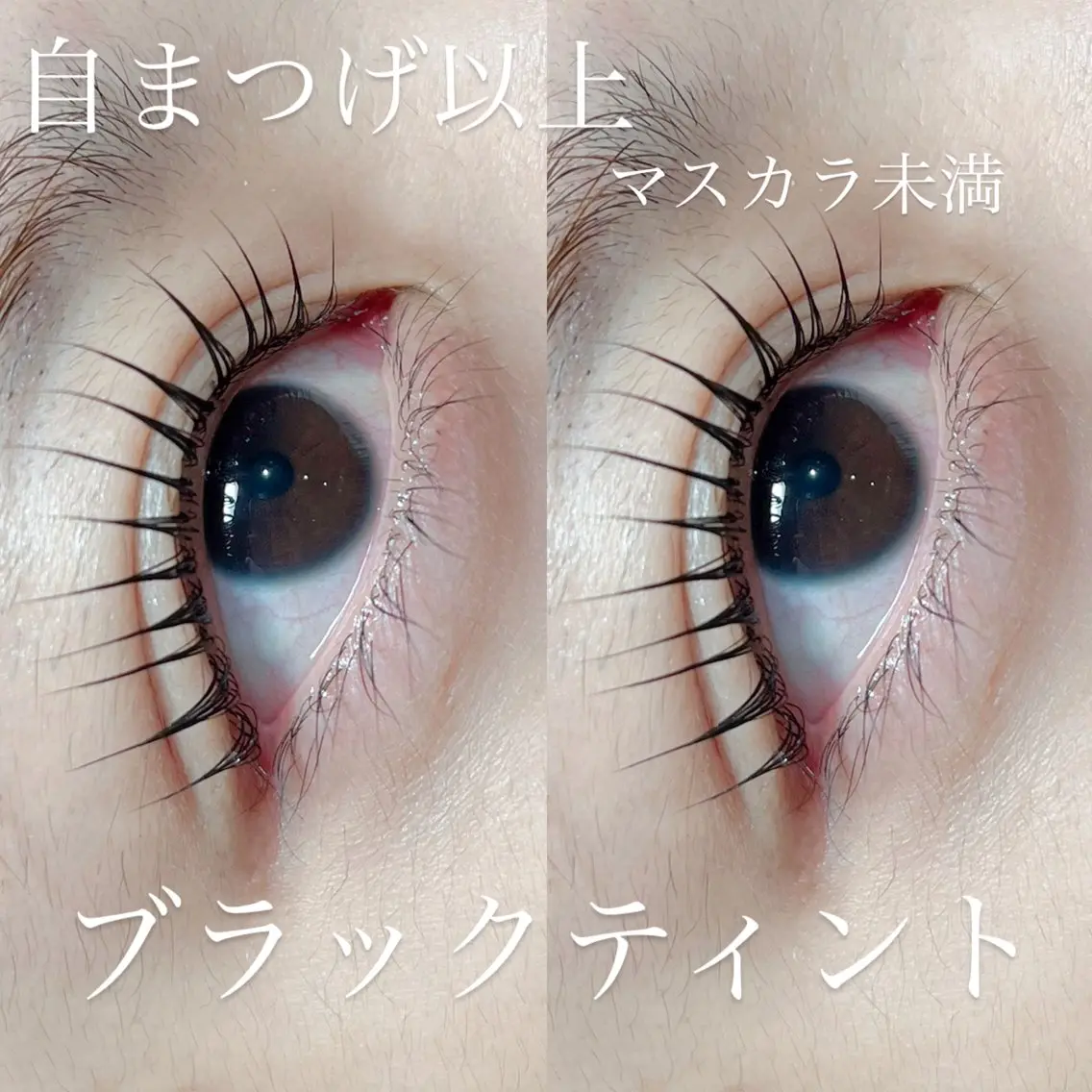 マツエク・マツパ パリジェンヌラッシュリフト statice/島垣 （シマガキ）のマツエク・マツパデザイン