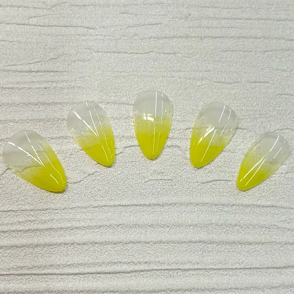【ずっとオフ無料🎶】カラーグラデーションの写真