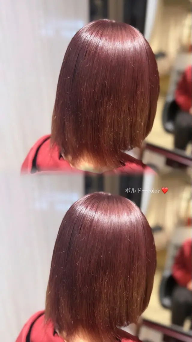 カラー ボルドーカラー グラデーションカラー KaRin 🌺のヘアスタイル