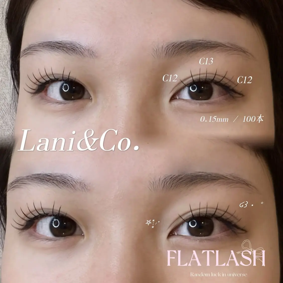 フラットラッシュ100本の写真