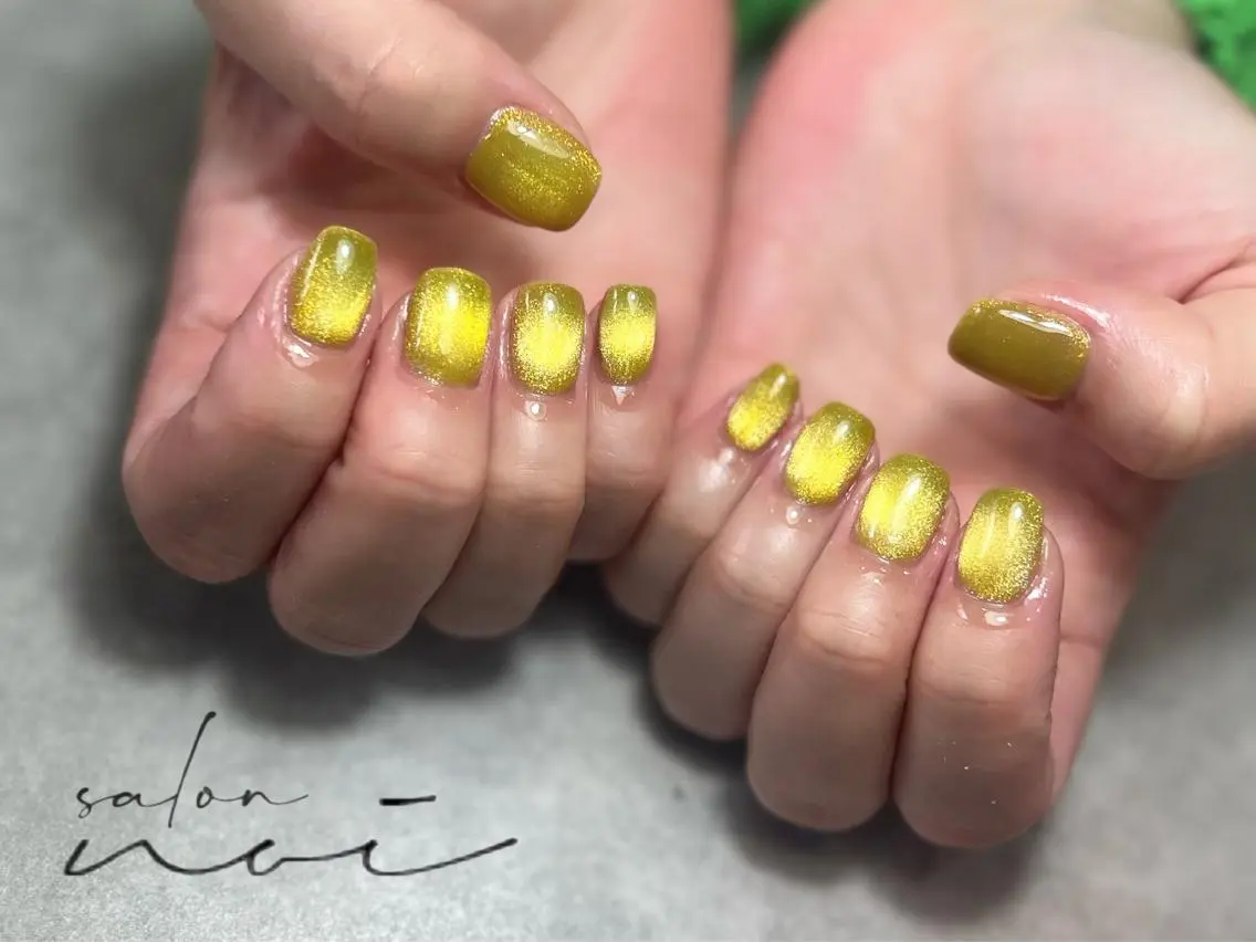 ネイル マグネットネイル ハンドネイル salon noiのネイルデザイン