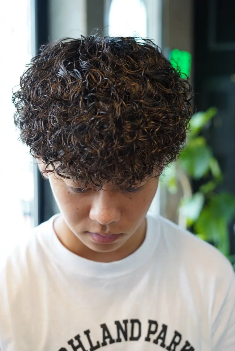 カット＋プードルパーマの写真
