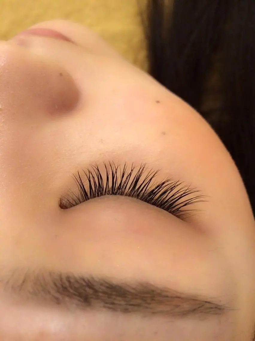 フラットラッシュ120本の写真
