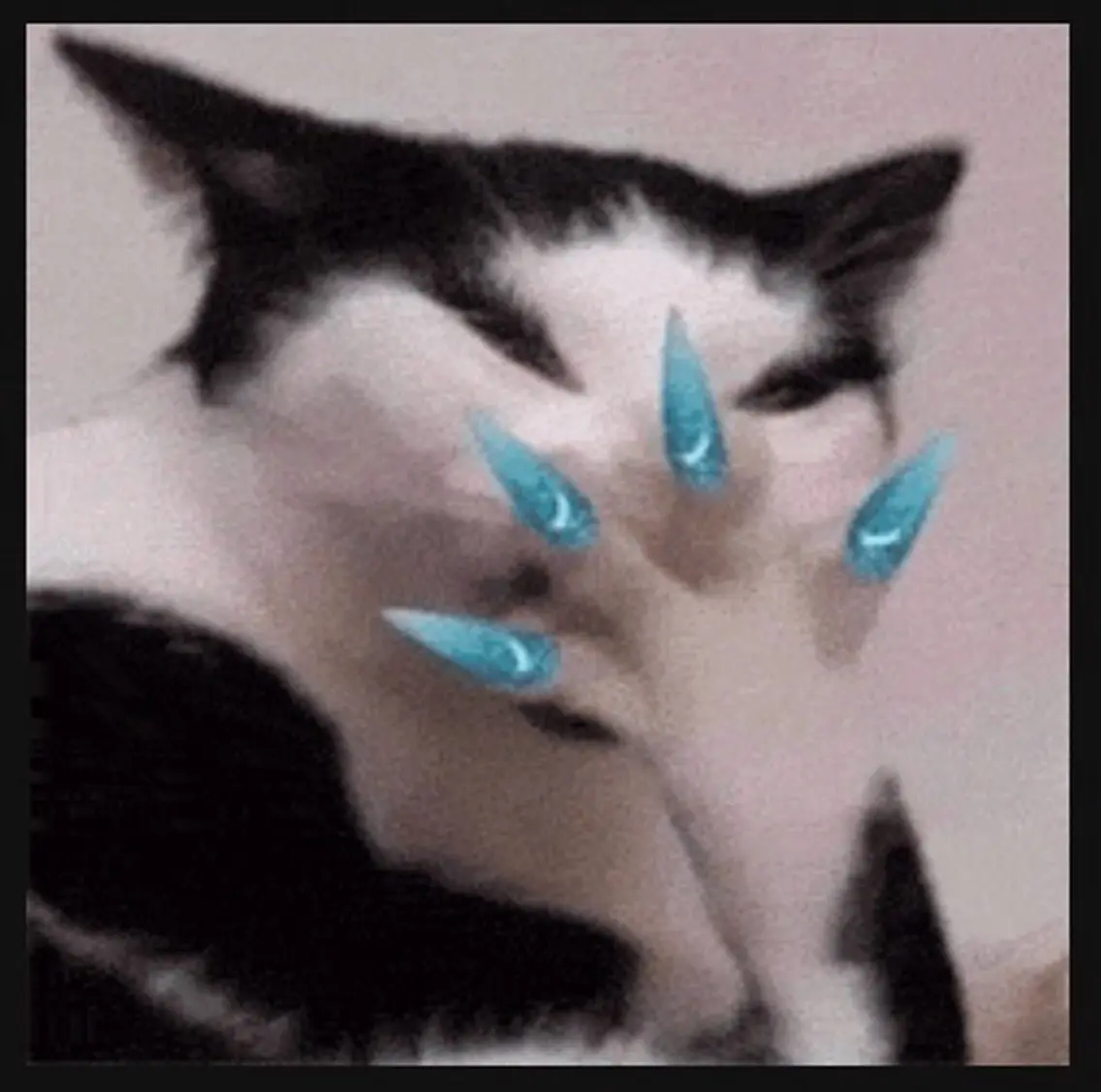 ネイル David Nailのネイルデザイン