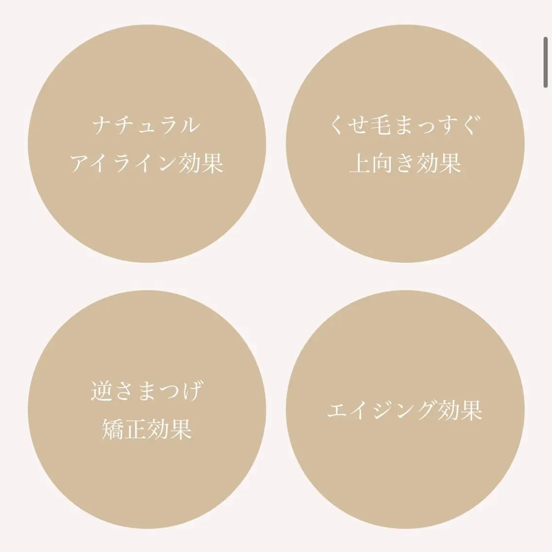 【-`📢⋆8月限定】パリジェンヌラッシュリフト［¥3,980］の写真