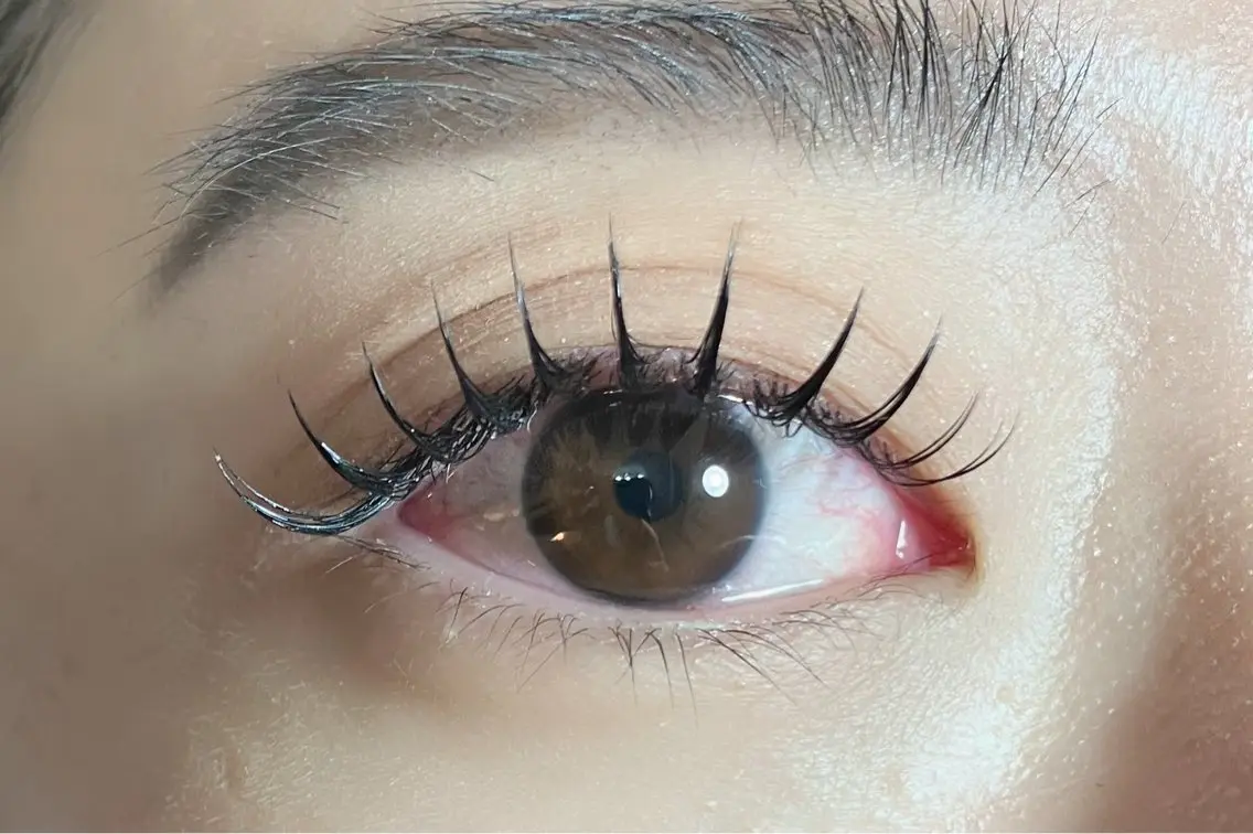 フラットラッシュ100本🌷の写真