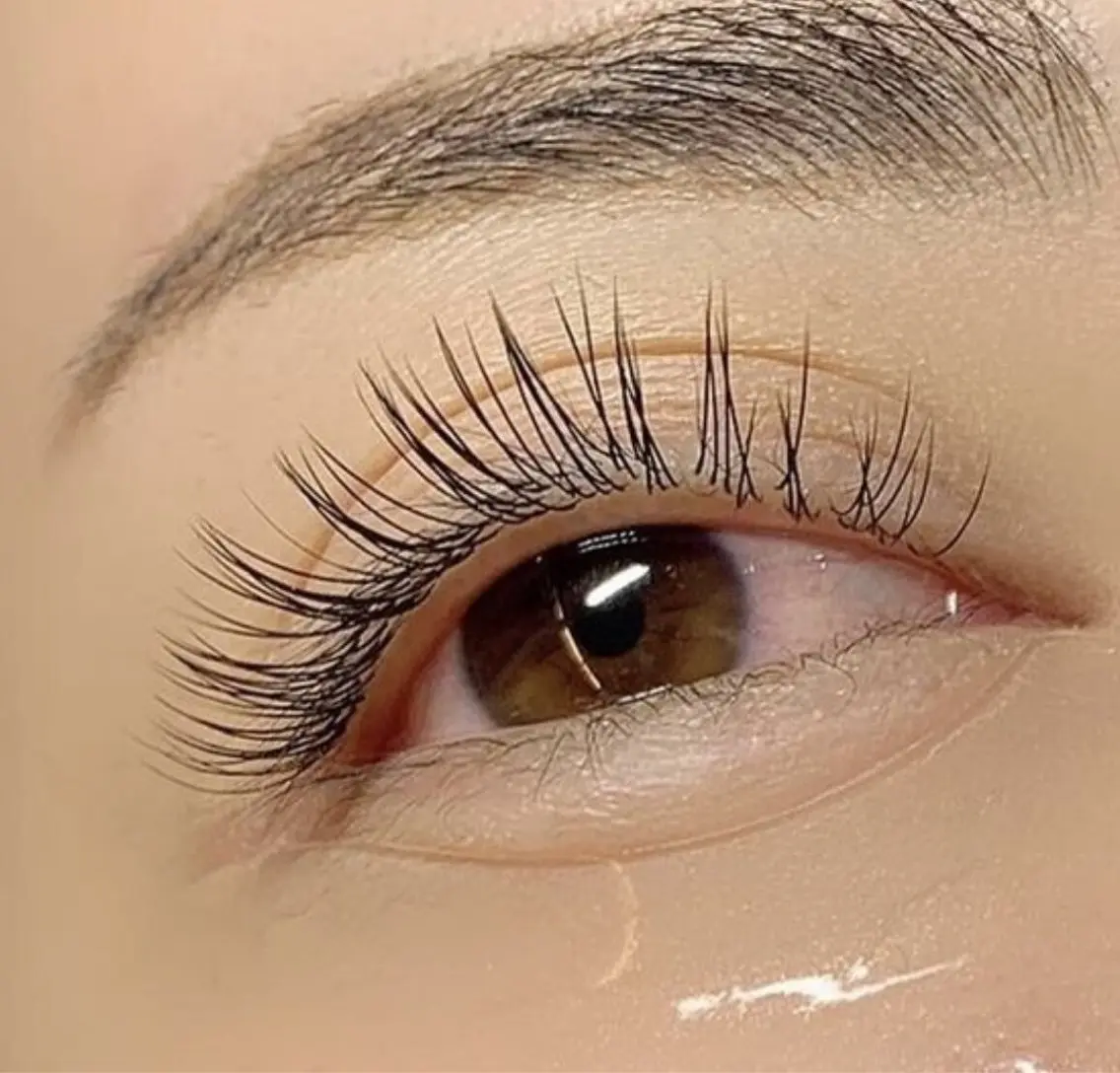フラットラッシュ120本の写真