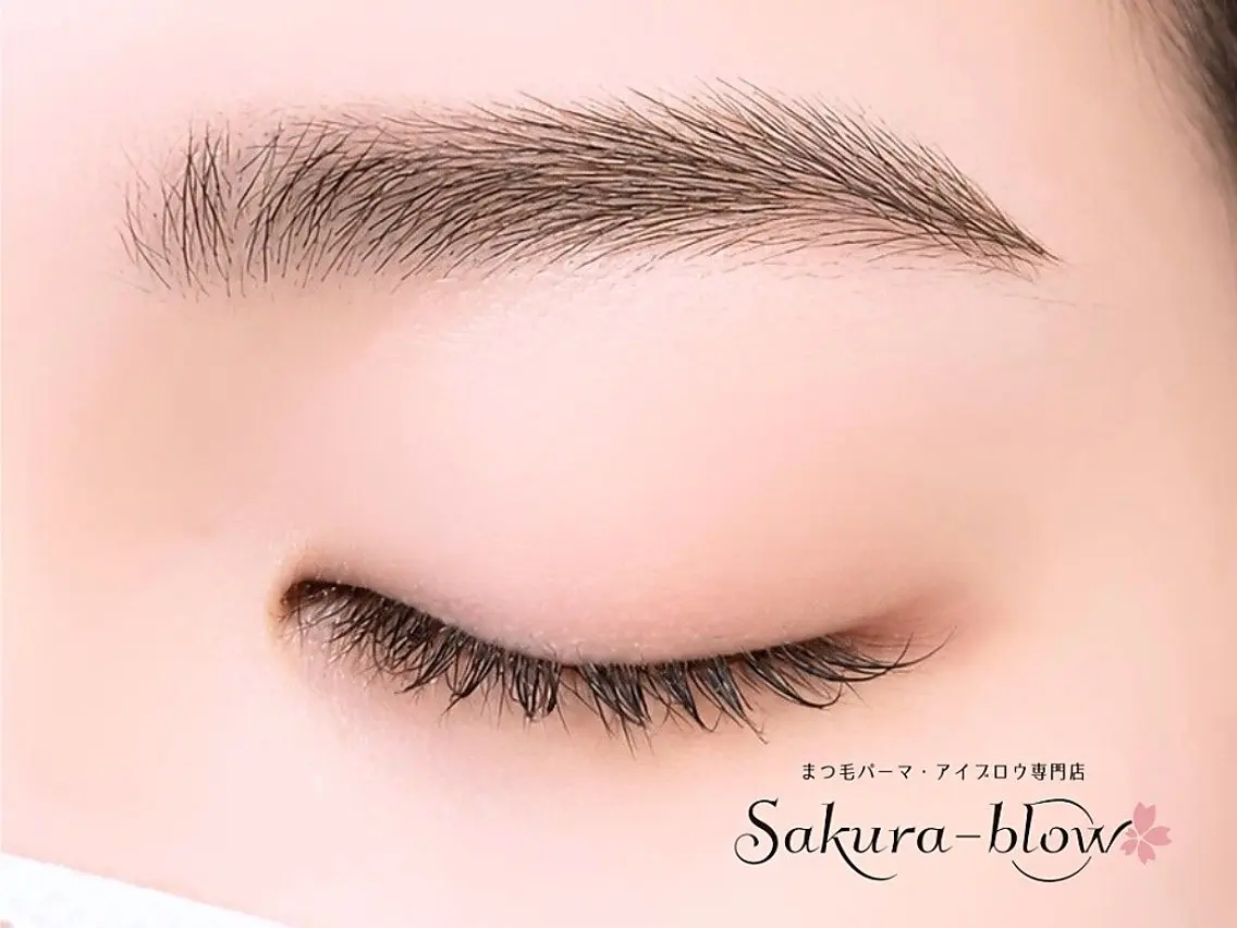 アイブロウ Sakurablow 山田のマツエク・マツパデザイン