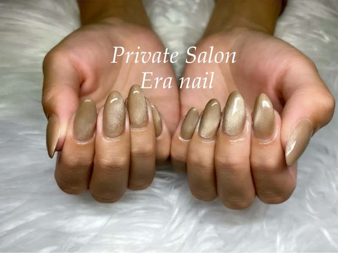 ネイル マグネットネイル マグネットワンカラー ワンカラーネイル Era nailのネイルデザイン