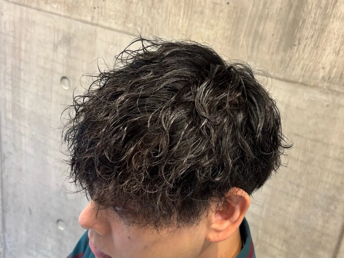 ショート パーマ メンズ メンズパーマ カット パーマ 💈 FUZUKI💈のヘアスタイル
