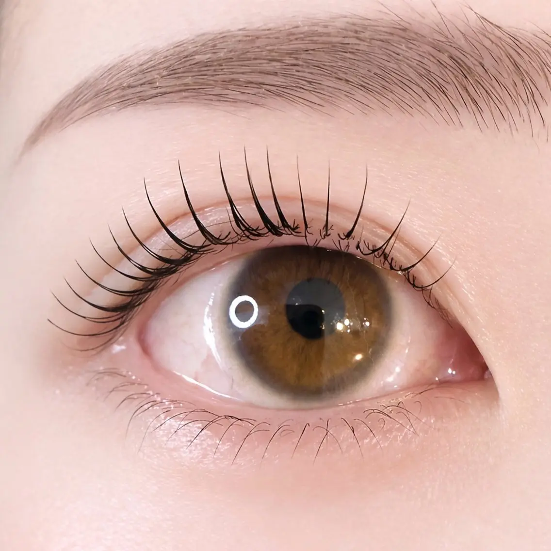 マツエク・マツパ パリジェンヌラッシュリフト 一重×まつ毛パーマ EYEVY 門前仲町のマツエク・マツパデザイン
