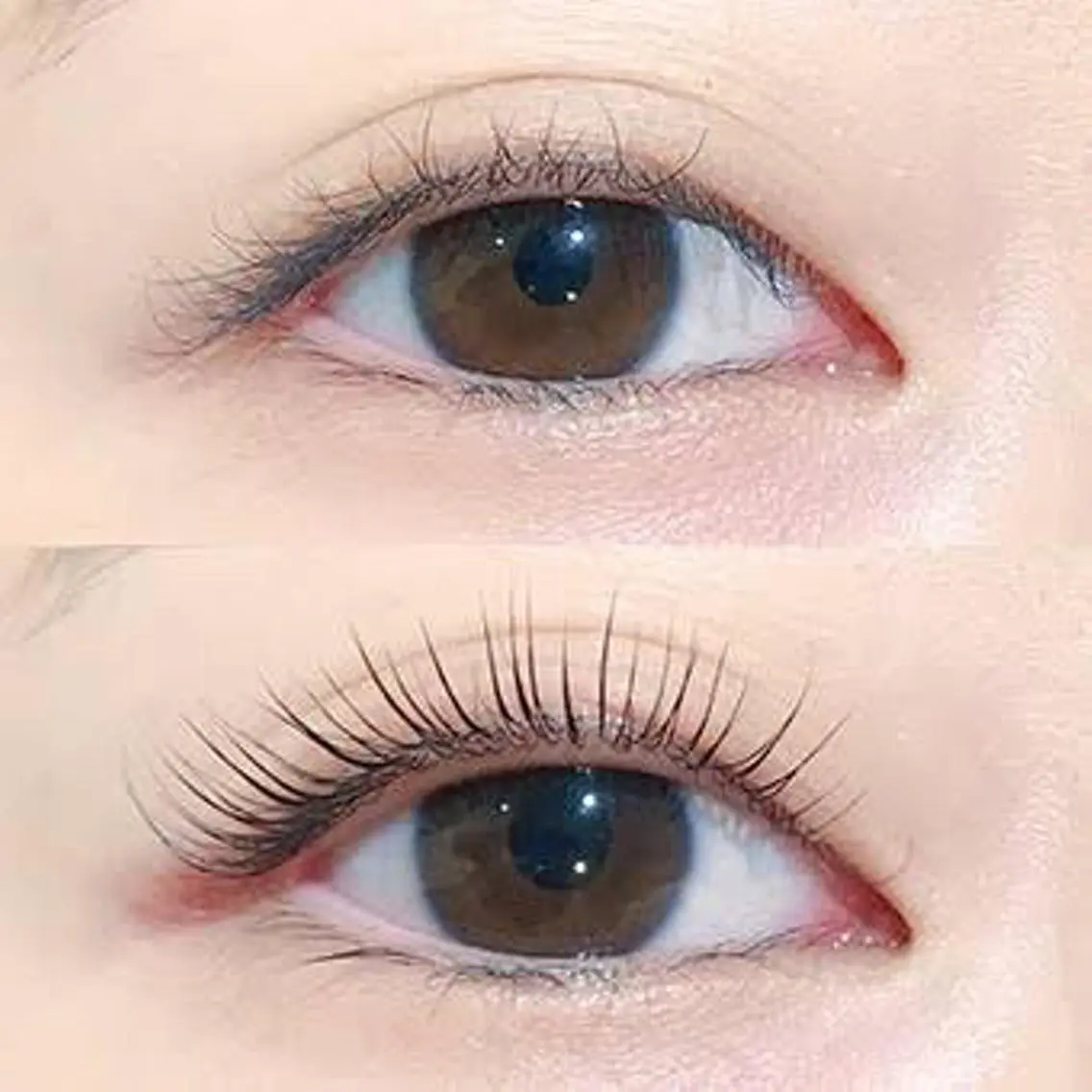 当日限定‼️フラット100本の写真