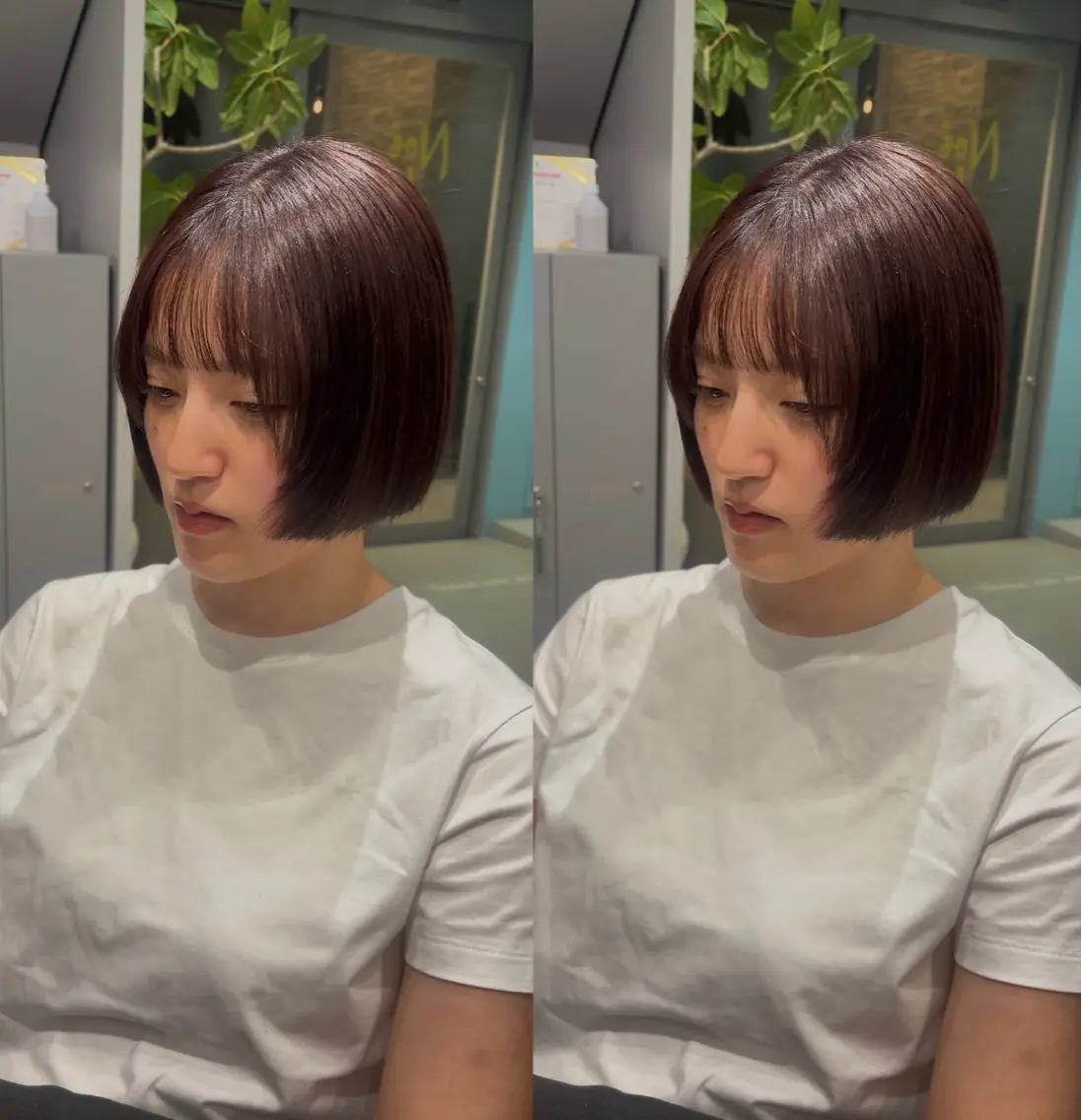 ショート カラー カット ヘアカラー トリートメント JUMI/ショート/ ボブ/透明感カラー✨のヘアスタイル
