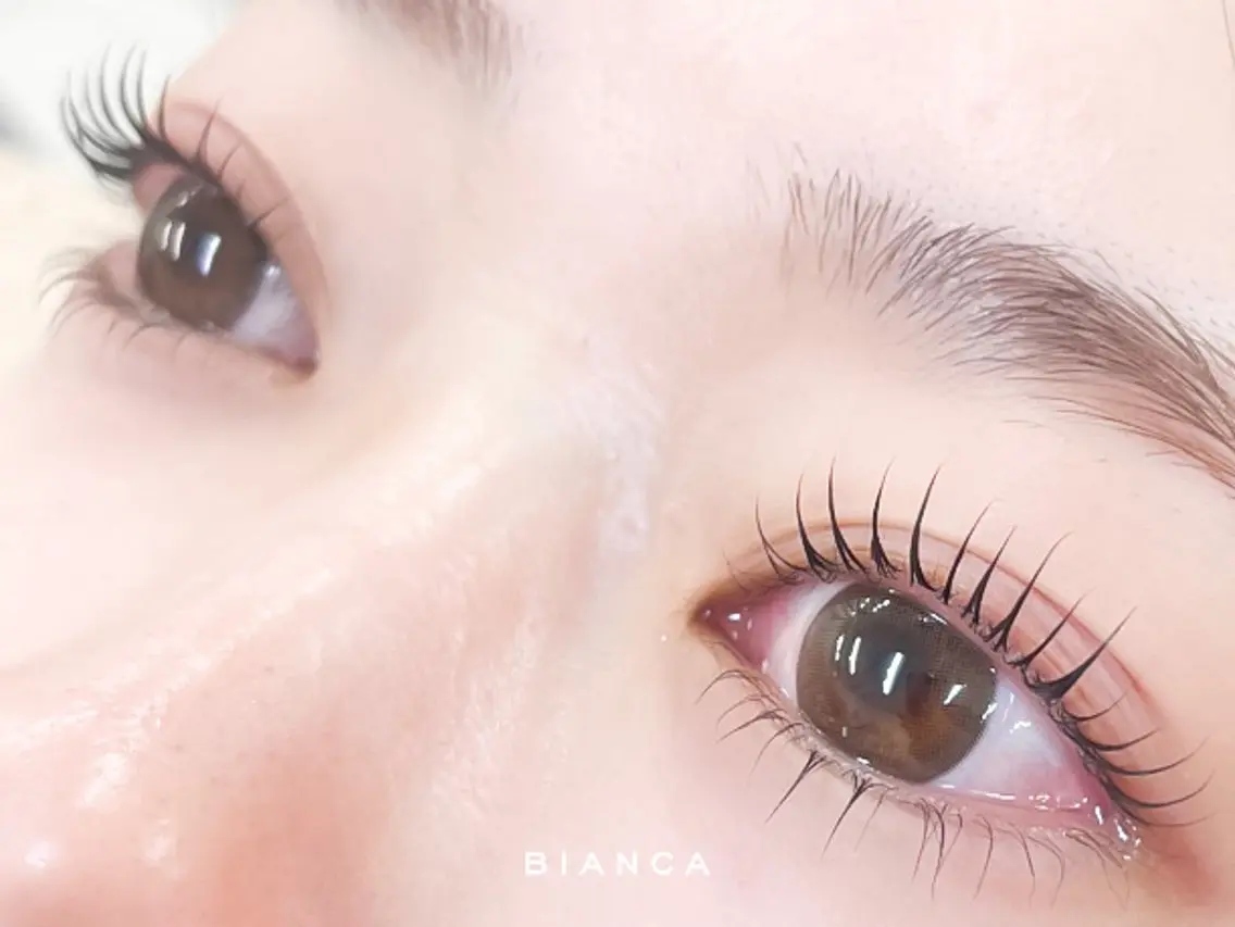 乾燥に負けない✨️まつ毛パーマ上下🌼トリートメント仕上げ🎀(60分)横浜関内の写真