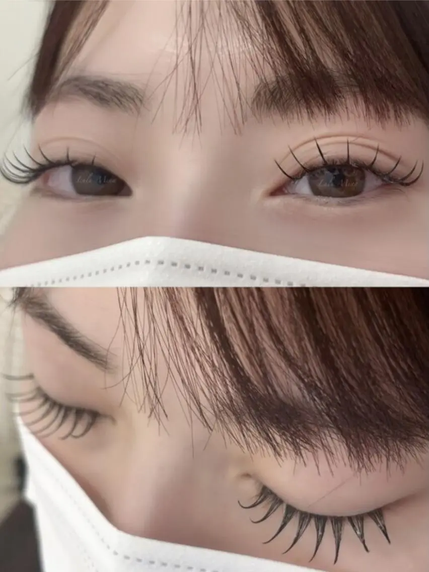 フラットラッシュ100本の写真