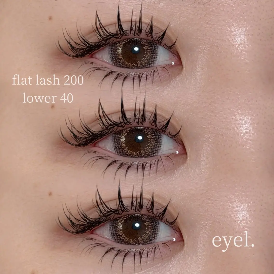 フラットラッシュ180本の写真