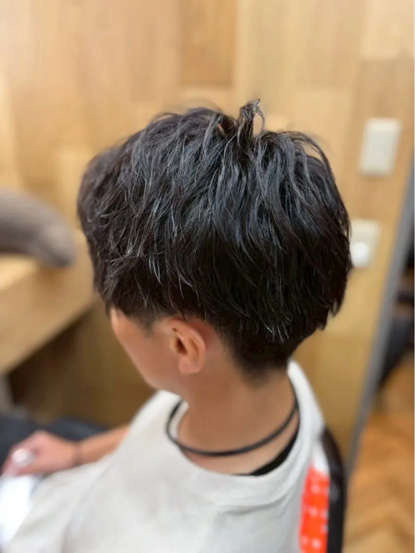ミディアム メンズ カット パーマ 白鳥 正孝のヘアスタイル
