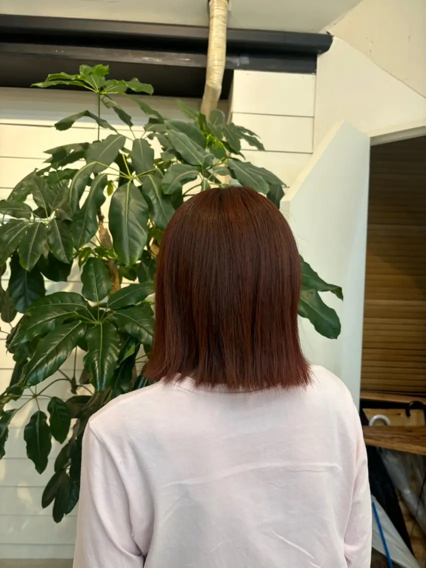 ショート カラー オレンジ 宮本 エリカのヘアスタイル