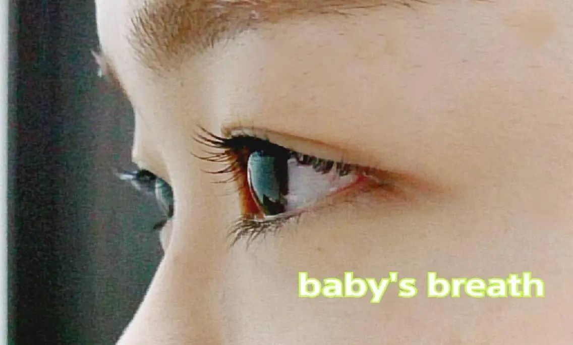 マツエク・マツパ baby's breathのマツエク・マツパデザイン