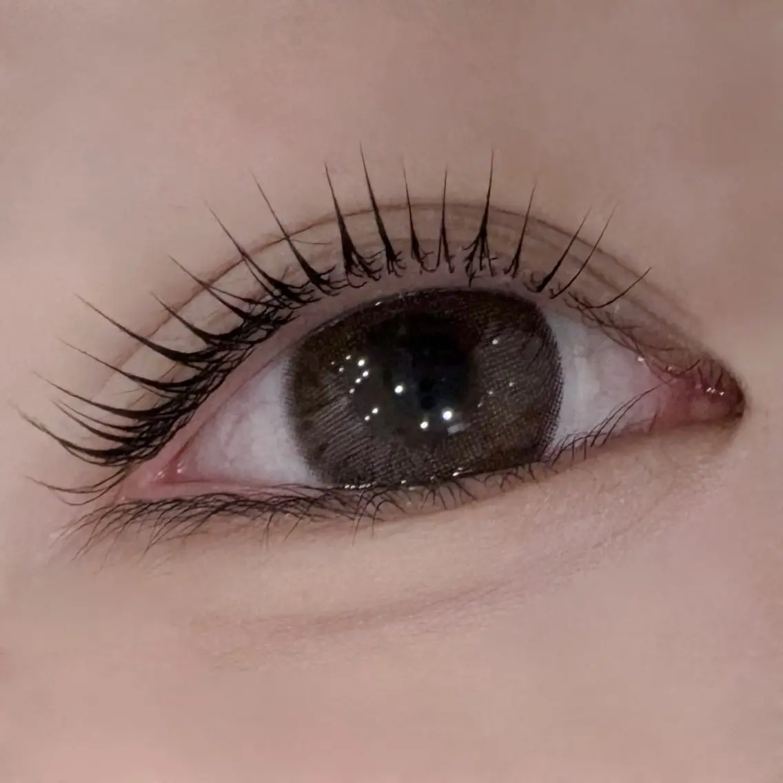 マツエク・マツパ Daisy Lash 今吉🍒🖤のマツエク・マツパデザイン