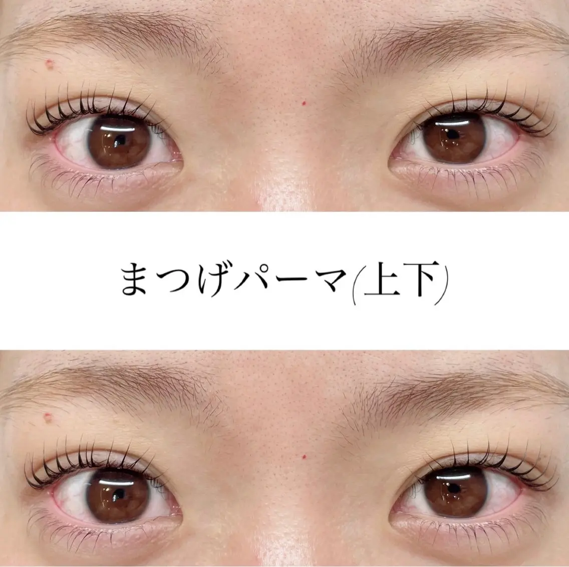 【ぱっちり目元に✨】まつ毛パーマ上下👀🌸の写真